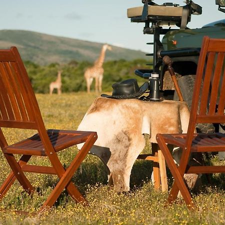 Temba Private Game Reserve เกรแฮมส์ทาวน์ ภายนอก รูปภาพ